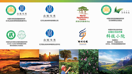 红河县山地未来创新平台正式启动